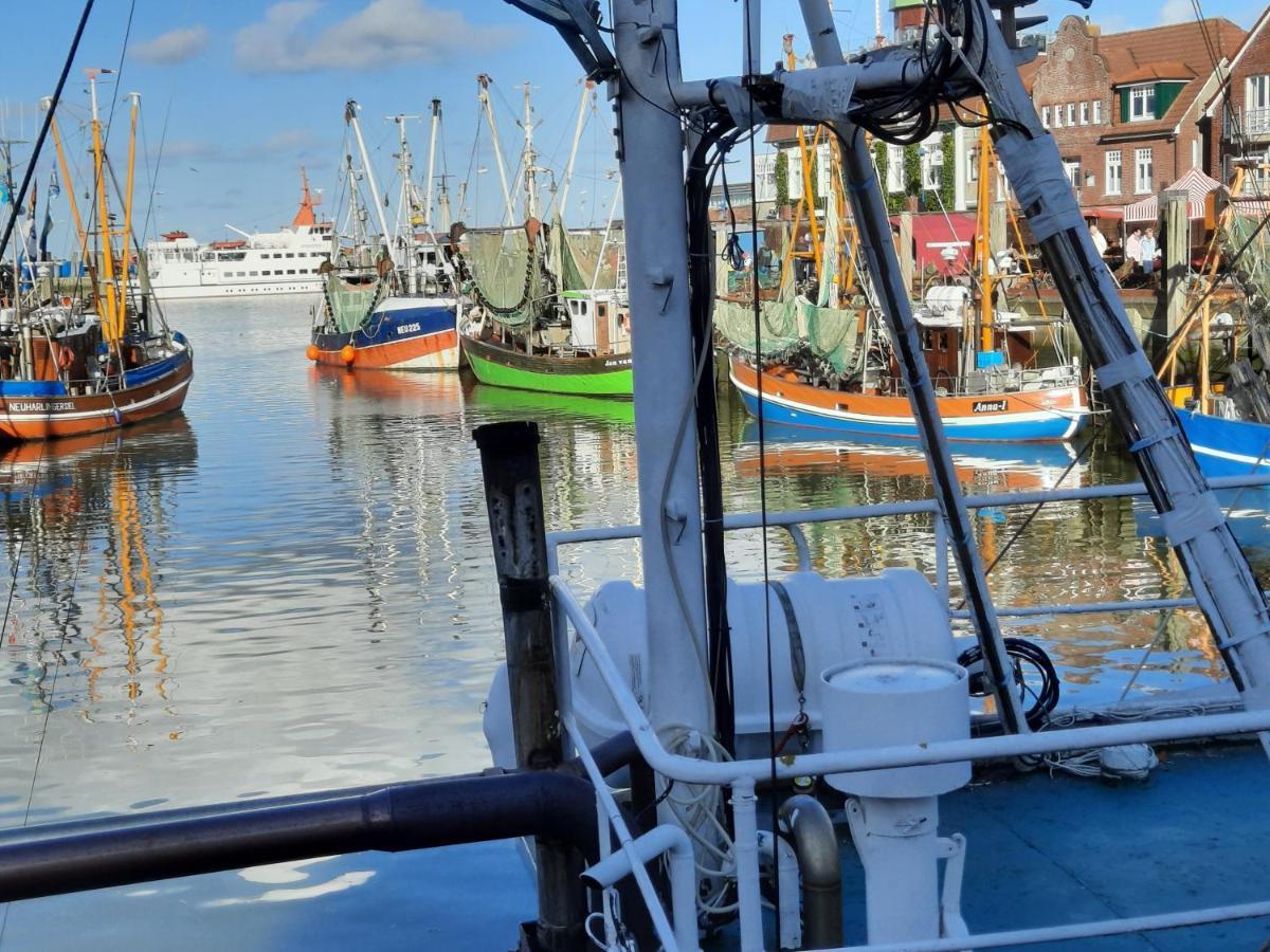 Familienurlaub In Ostfriesland Fuer Max 7 Pers In 2 Wohnungen, Auch Einzeln Wohnungen Utarp エクステリア 写真