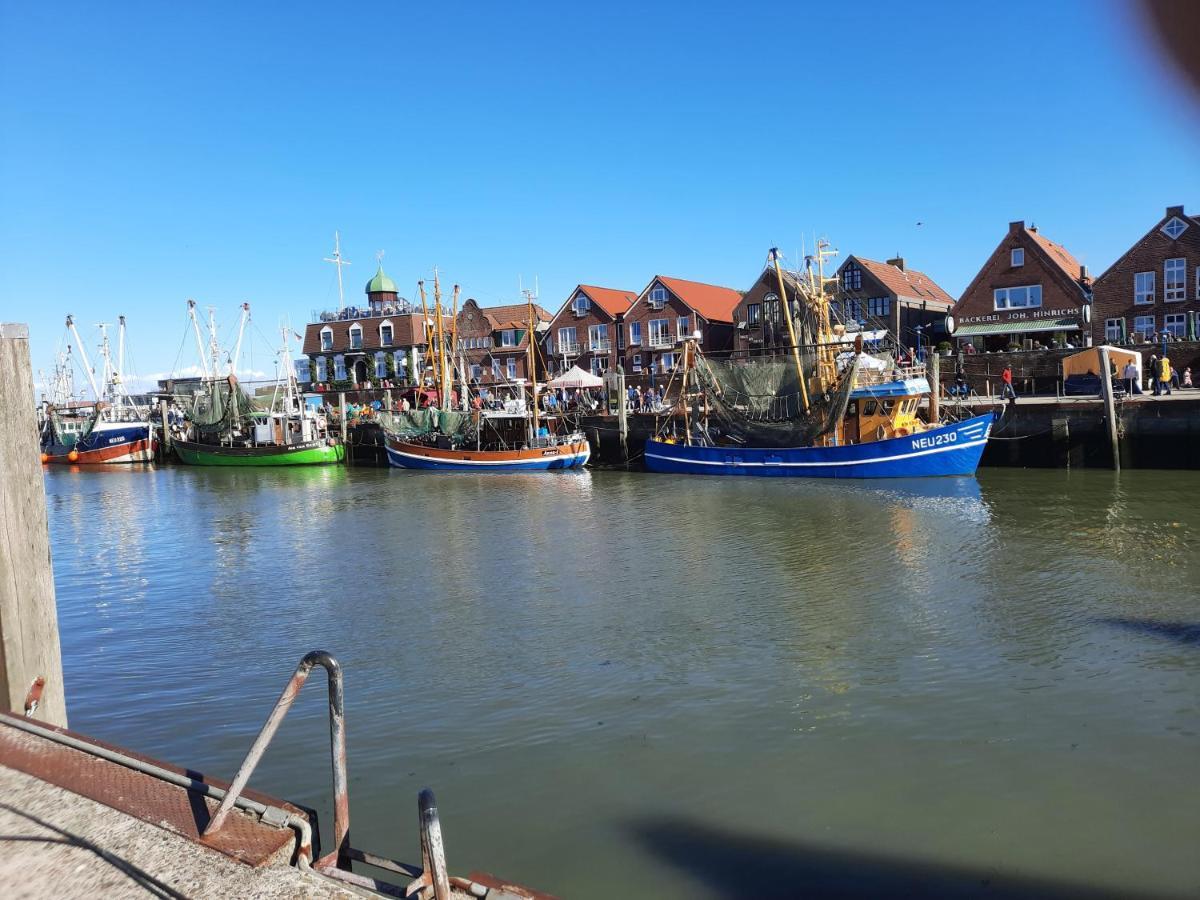 Familienurlaub In Ostfriesland Fuer Max 7 Pers In 2 Wohnungen, Auch Einzeln Wohnungen Utarp エクステリア 写真